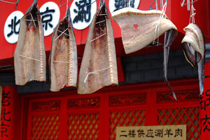 Sample image from gallery