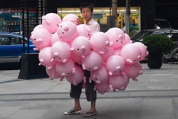 Pig Balloons