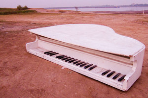 Sample image from gallery