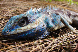 Sample image from gallery