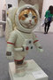 Space Cat