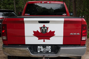 Sample image from gallery