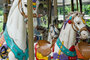 Merry Go Round