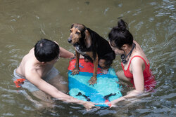 Big Dog Ferry