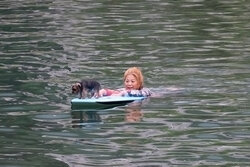 Small Dog Ferry