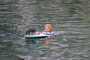 Small Dog Ferry