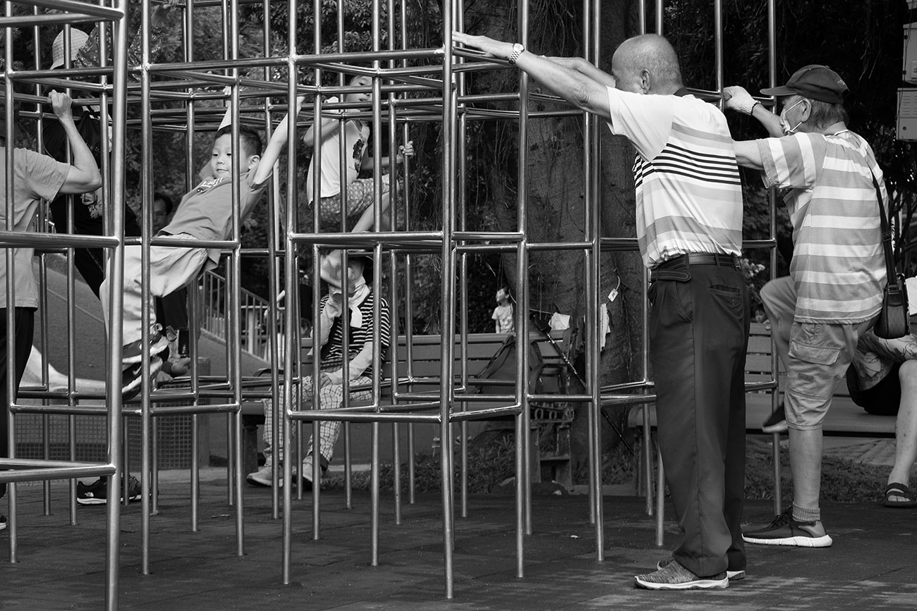 Jungle Gym