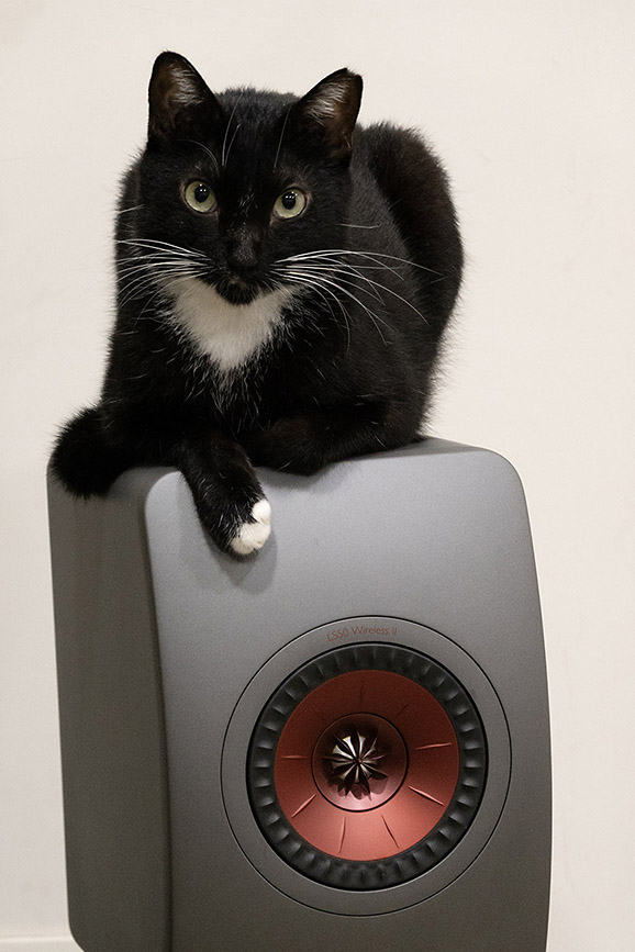 Nice Speaker