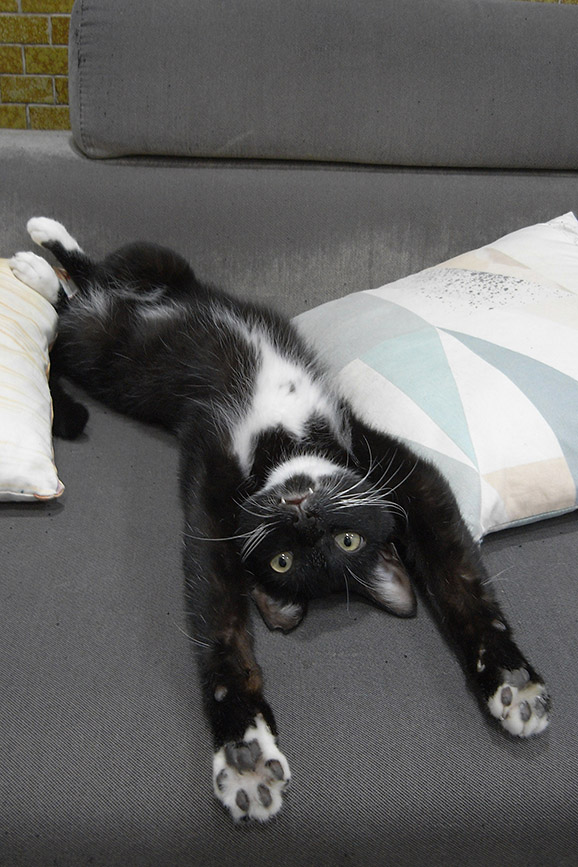 Stretching