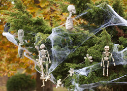 Skeleton Tree